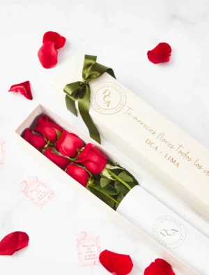CAJA DCA 6 ROSAS PREMIUM