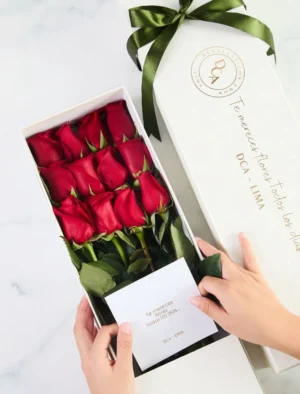 CAJA DCA 12 ROSAS PREMIUM